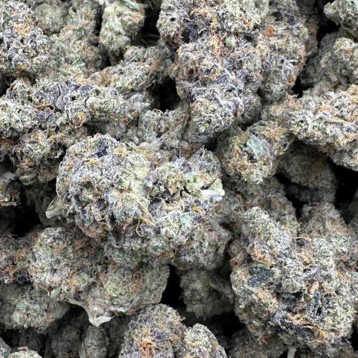 THCA FLOWER MYSTERY 7 gram bag