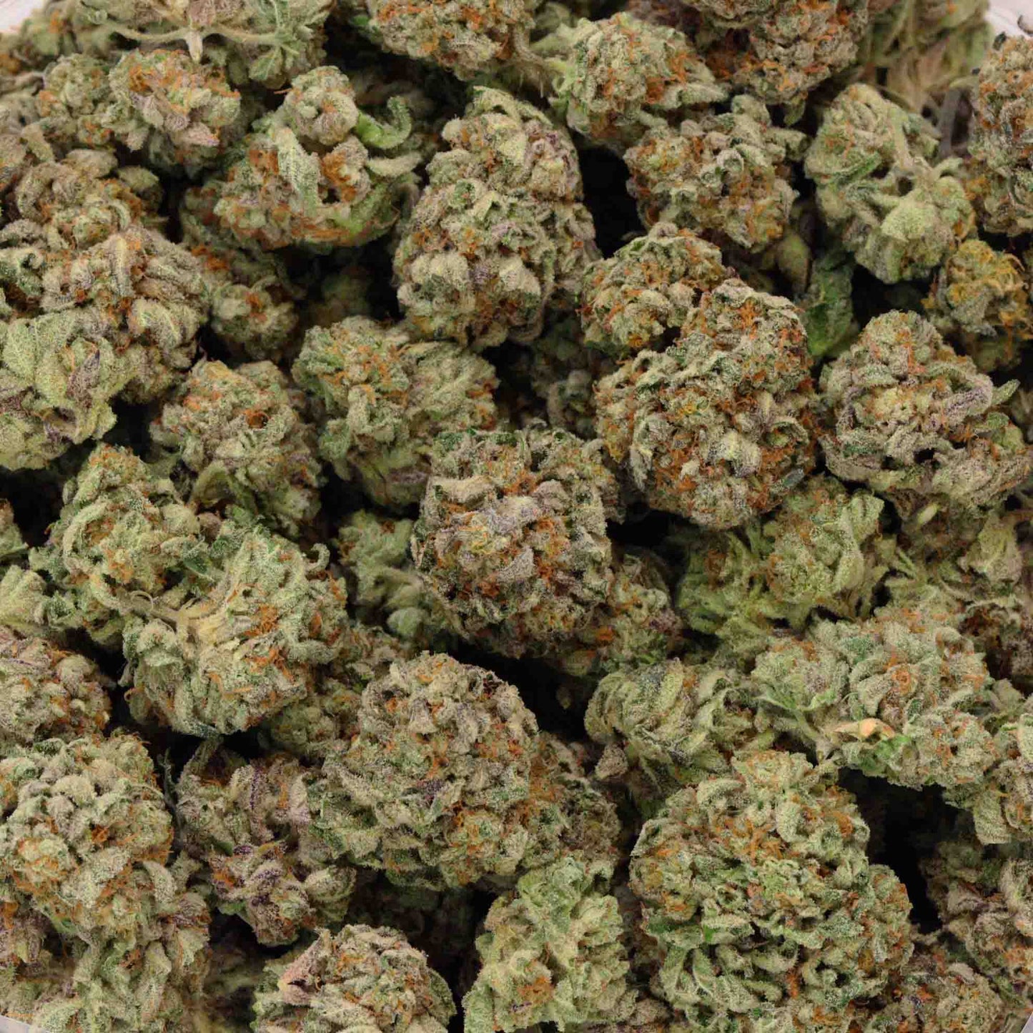 THCA FLOWER MEDELLIN HALF OUNCE