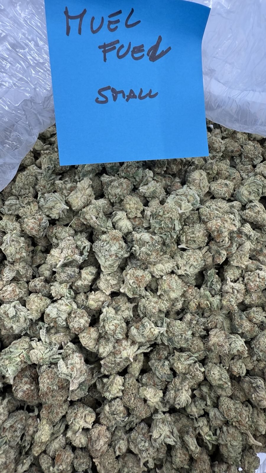 Small nug exotic Tier 1 pound $450