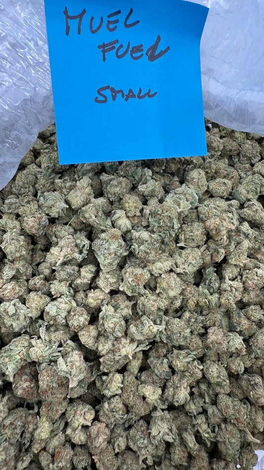 Small nug exotic Tier 1 pound $450