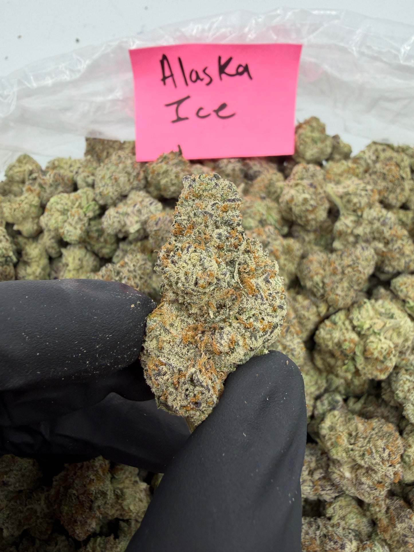 Alaska ice pound hemp