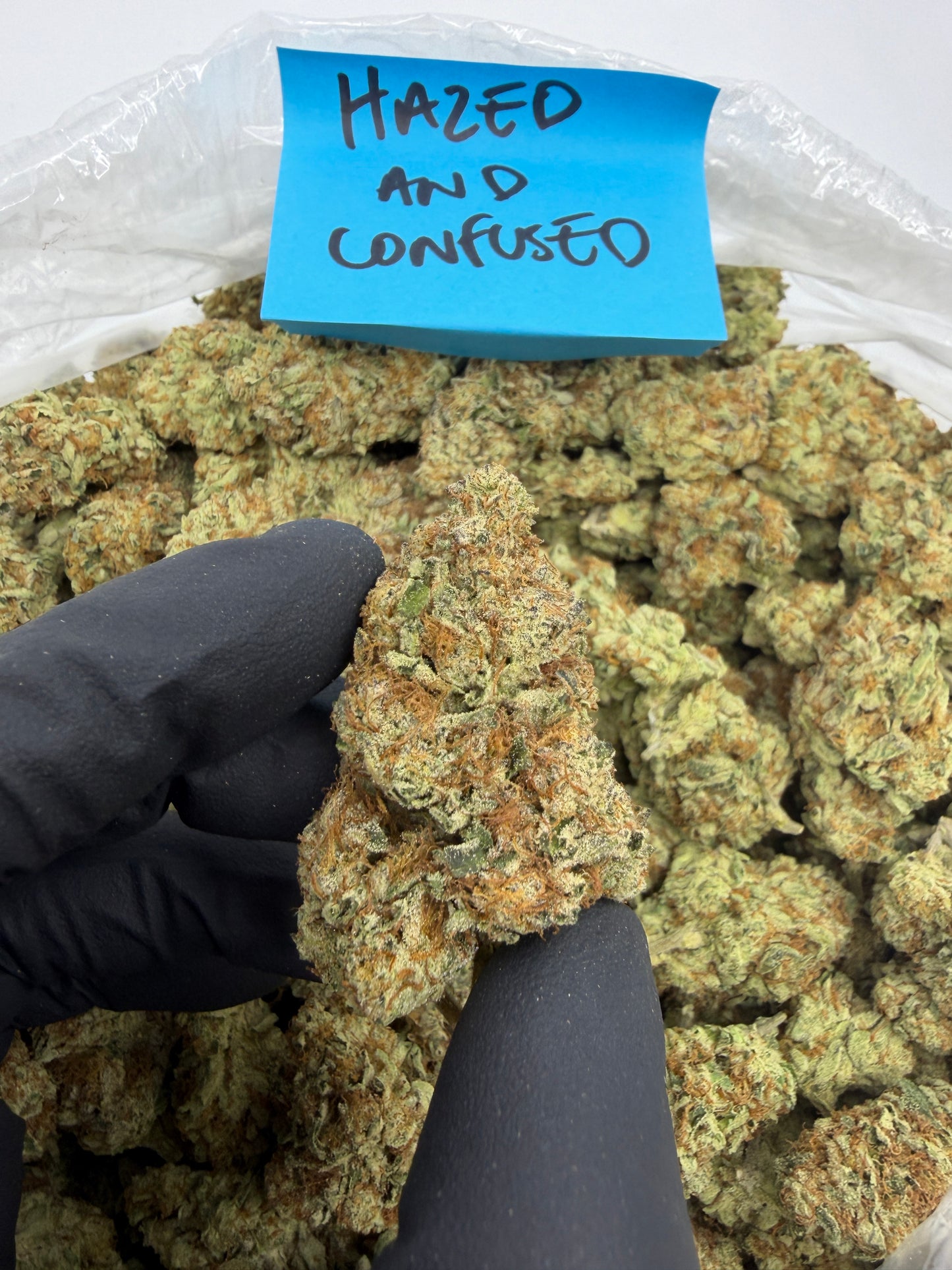 Light Dep Pounds $549