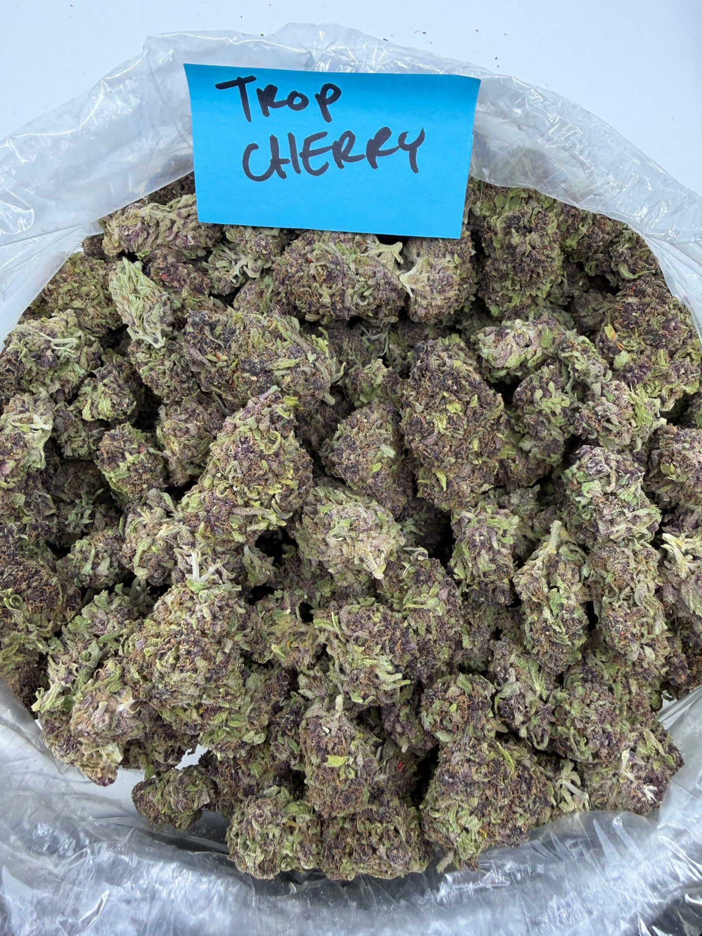 Light Dep Pounds $549