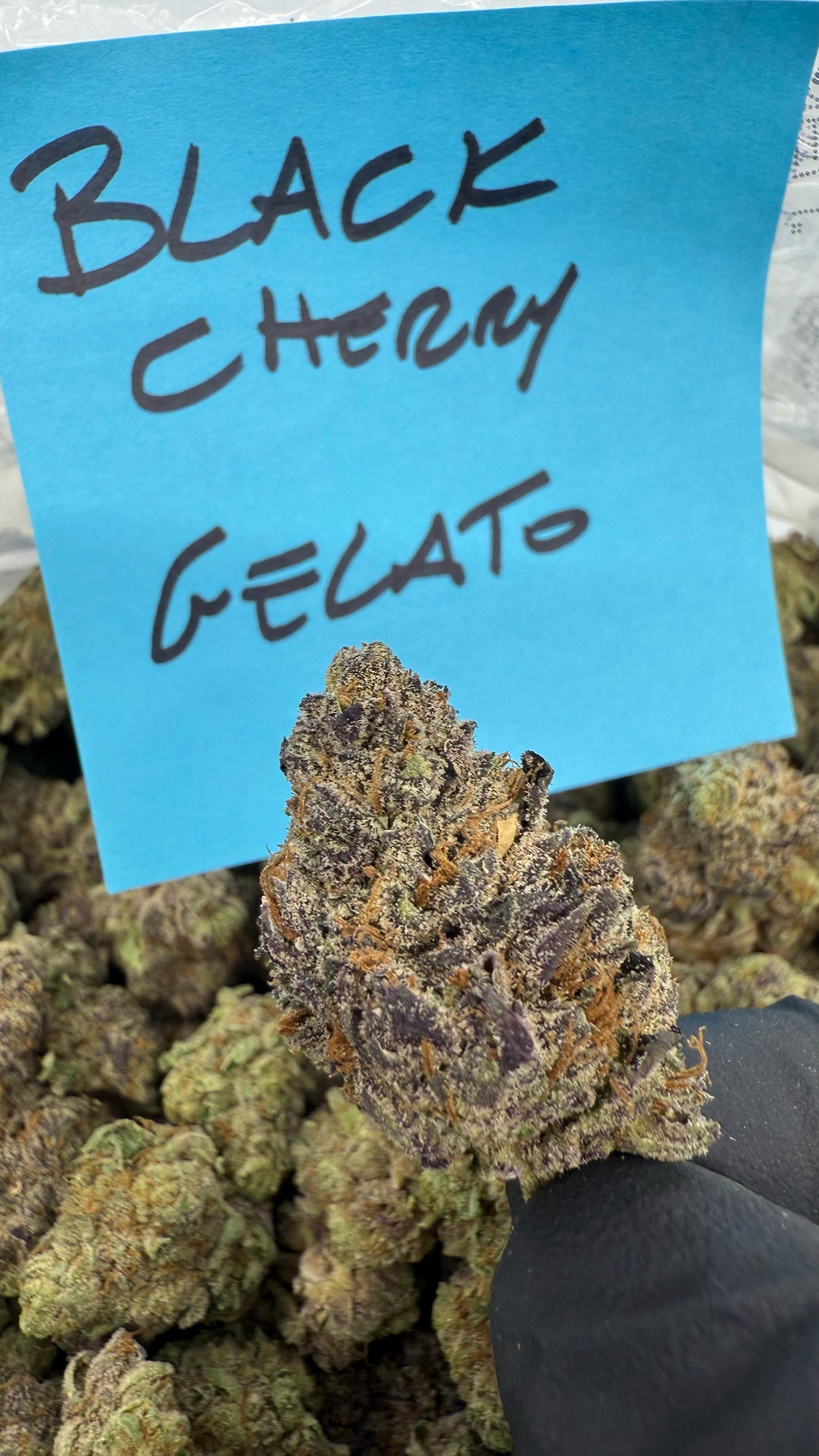 Alaska ice pound hemp