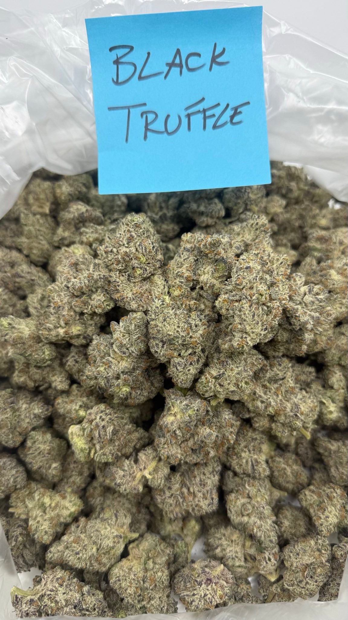 Alaska ice pound hemp