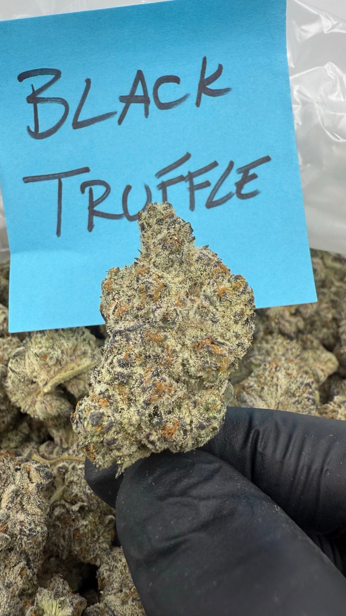 Alaska ice pound hemp