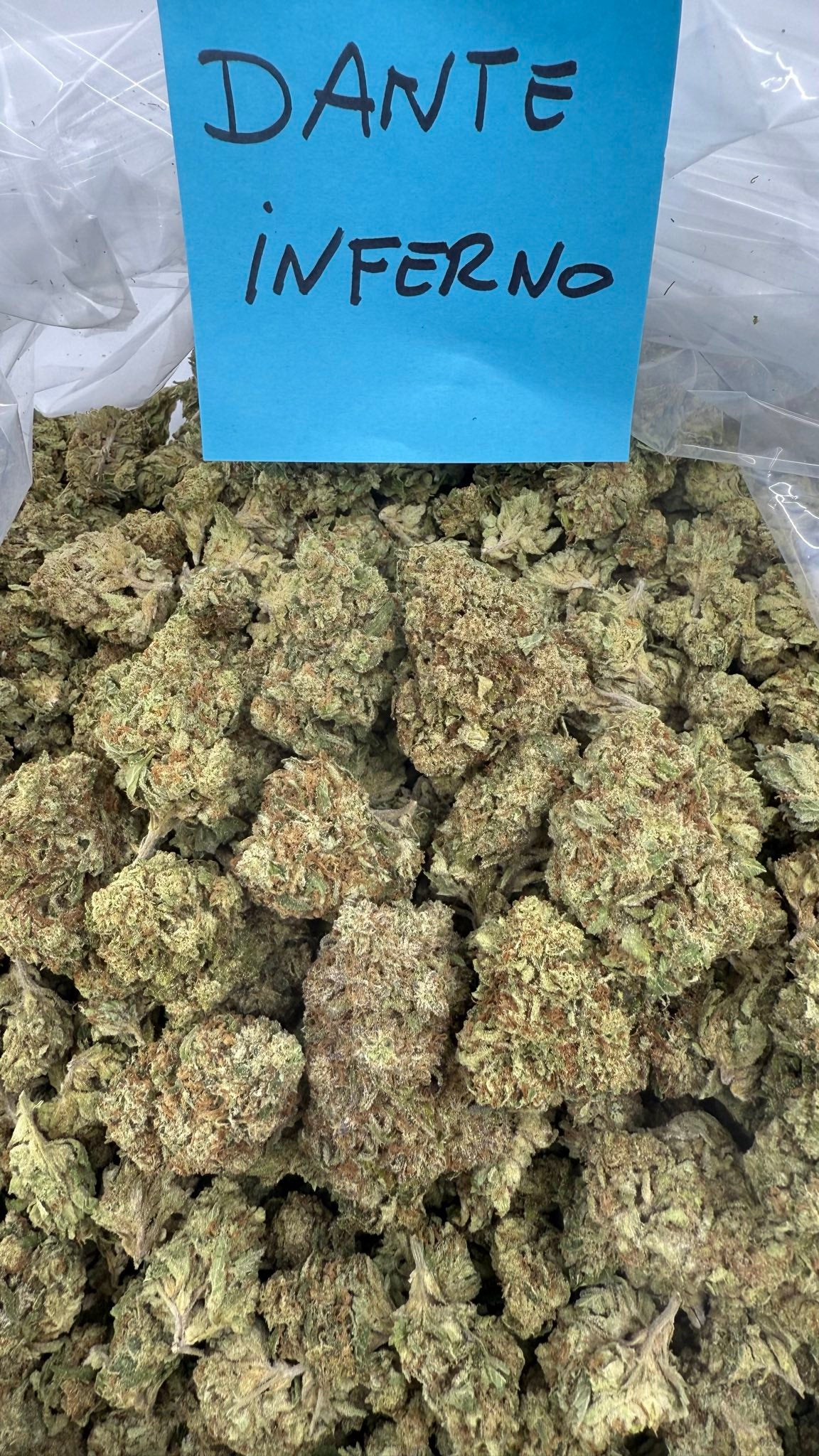 Exotic tier three Deps 400