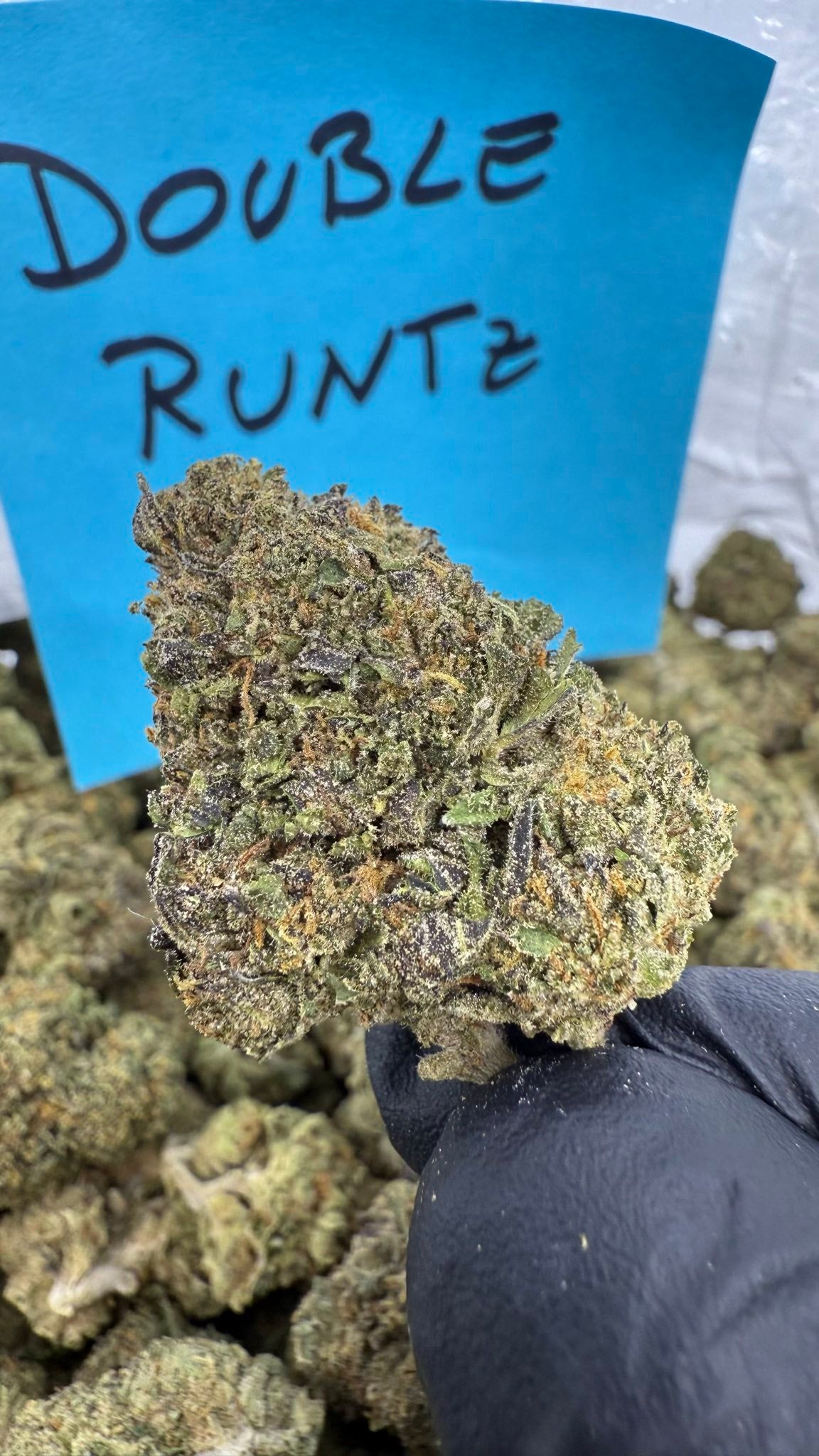 Exotic tier three Deps 400