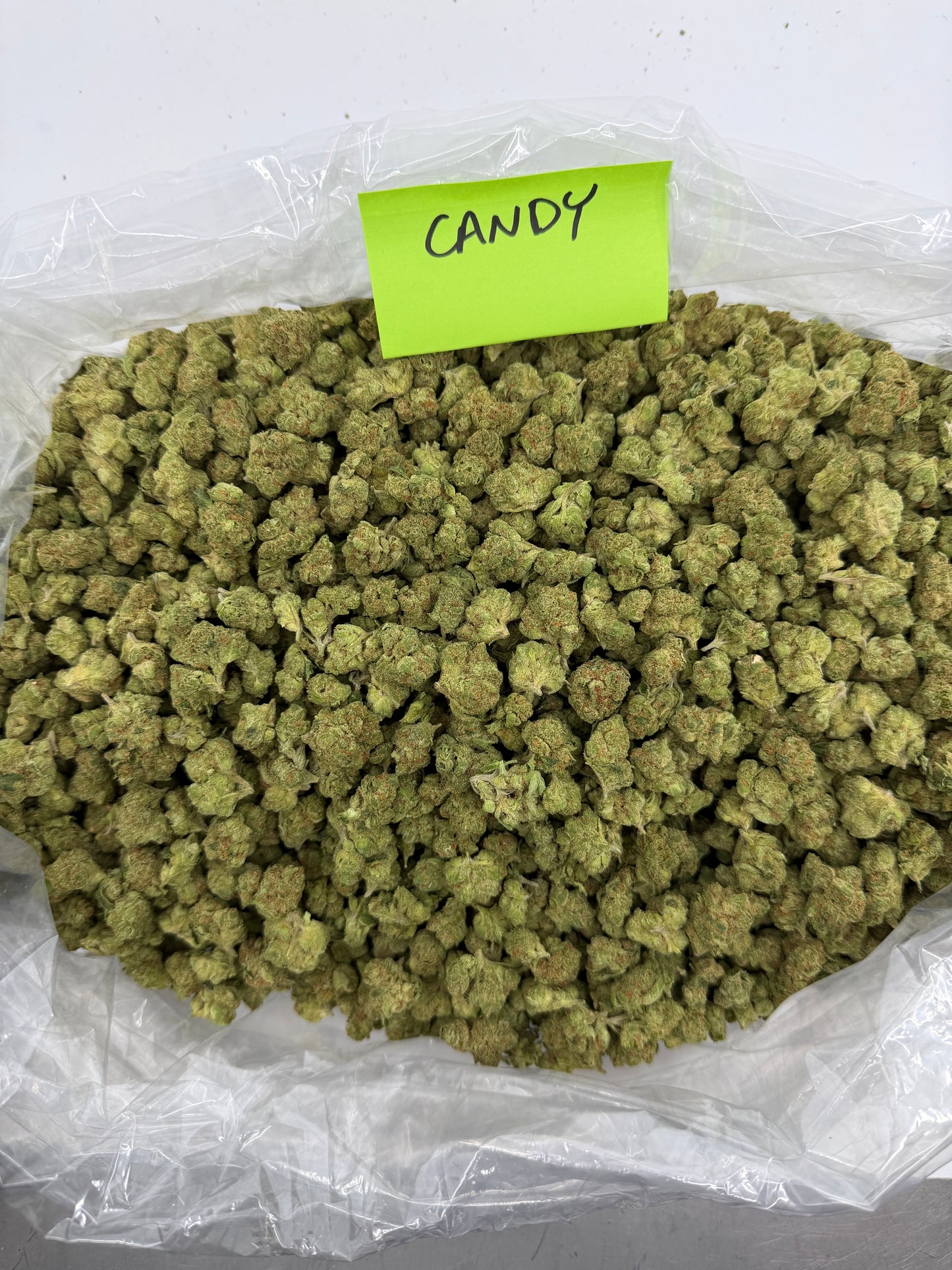 Small nug exotic Tier 1 pound $450