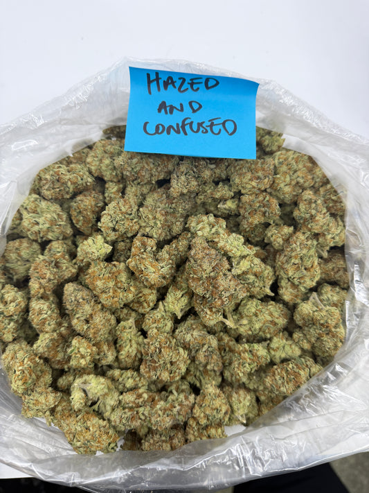 Light Dep Pounds $549