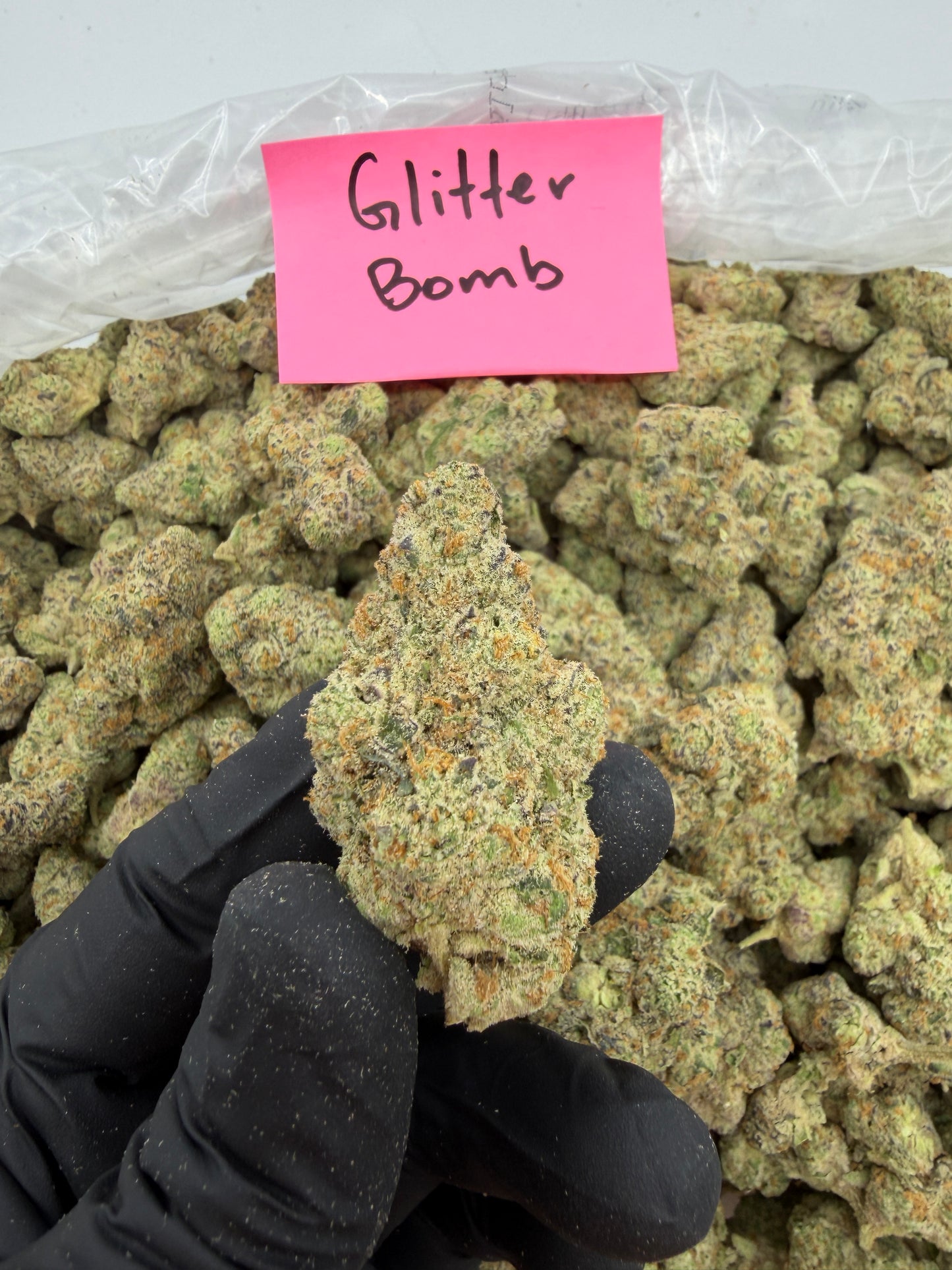 Alaska ice pound hemp