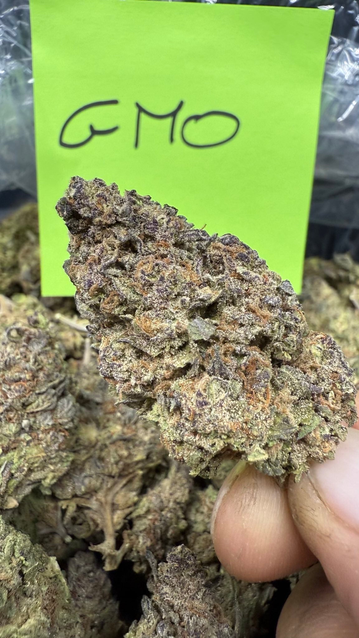 Exotic tier three Deps 400