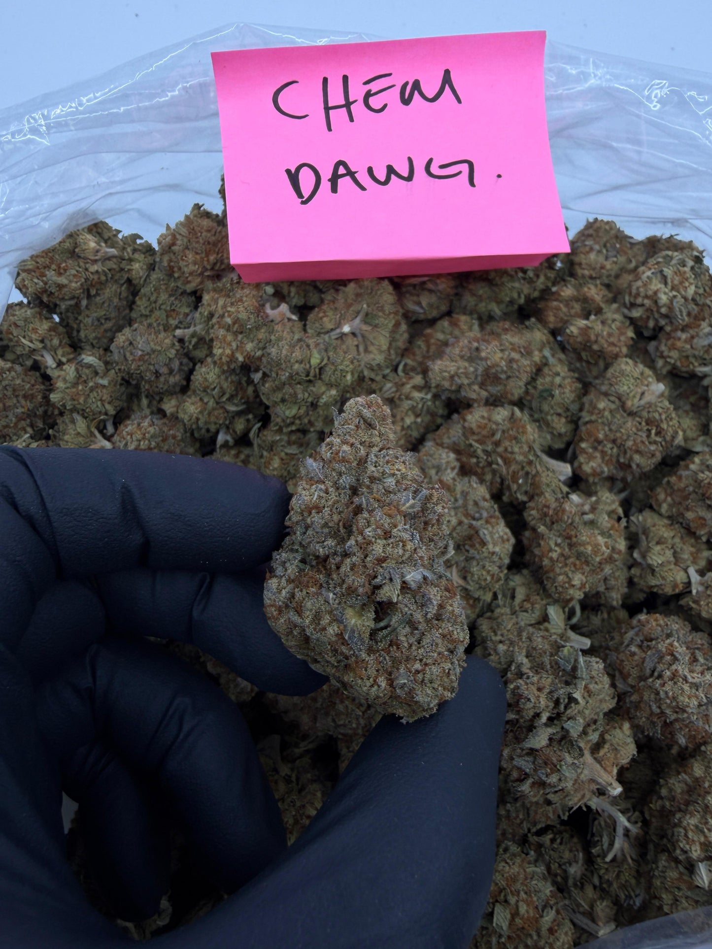 Budget dep pound $415