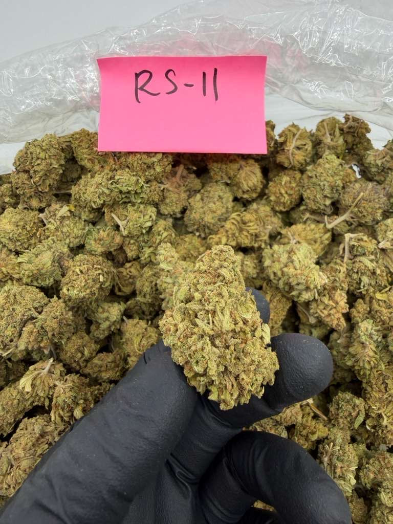 Budget dep pound $415