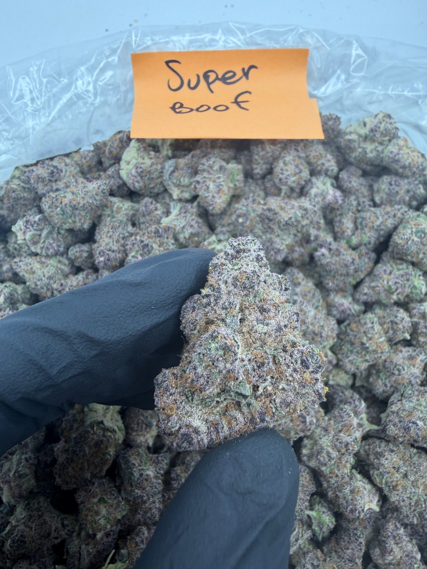 Alaska ice pound hemp