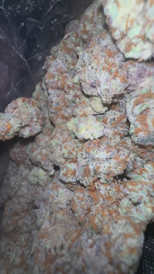 FREE THCA FLOWER 3.5 BAG